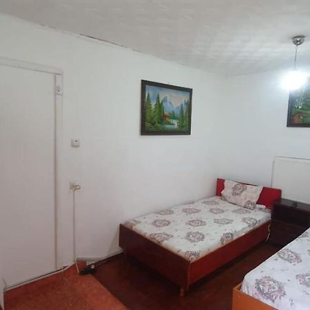 Casa Pitaru Hotell Calafat Eksteriør bilde